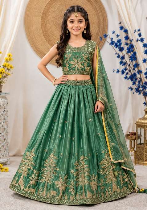 Green Sequin Work Chinon Lehenga Set For Girls